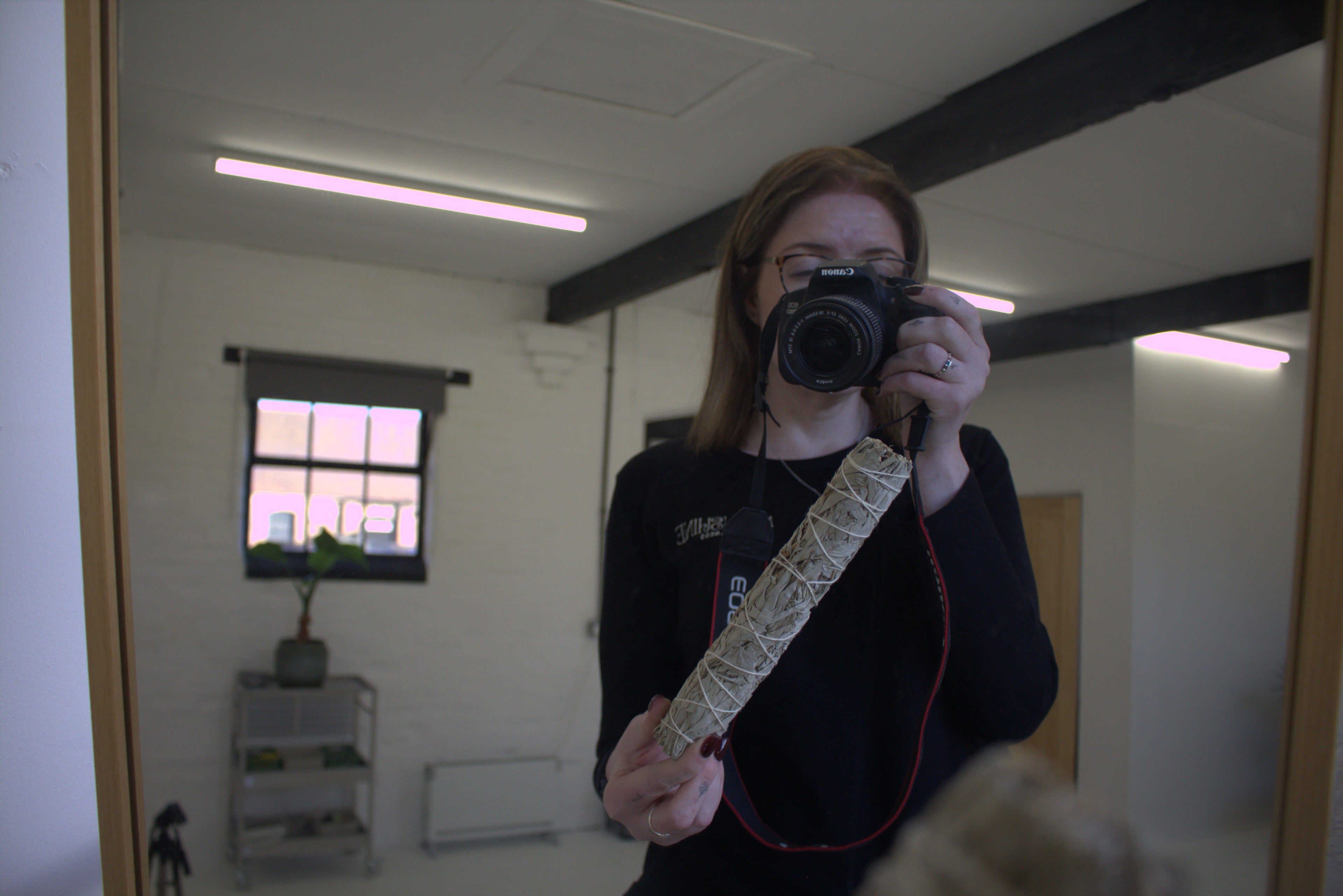Large White Sage & Lavender Smudge Stick