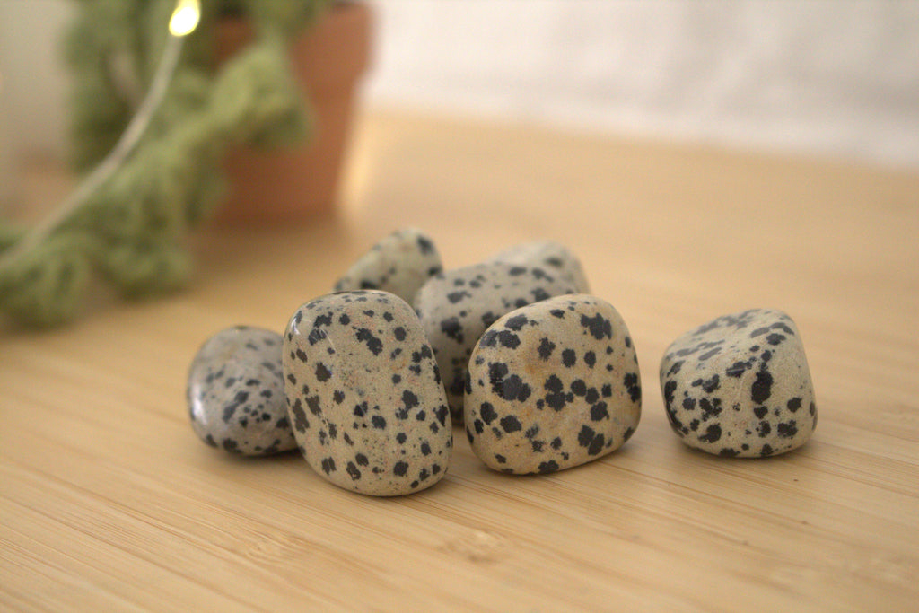 Dalmation Jasper Tumblestone