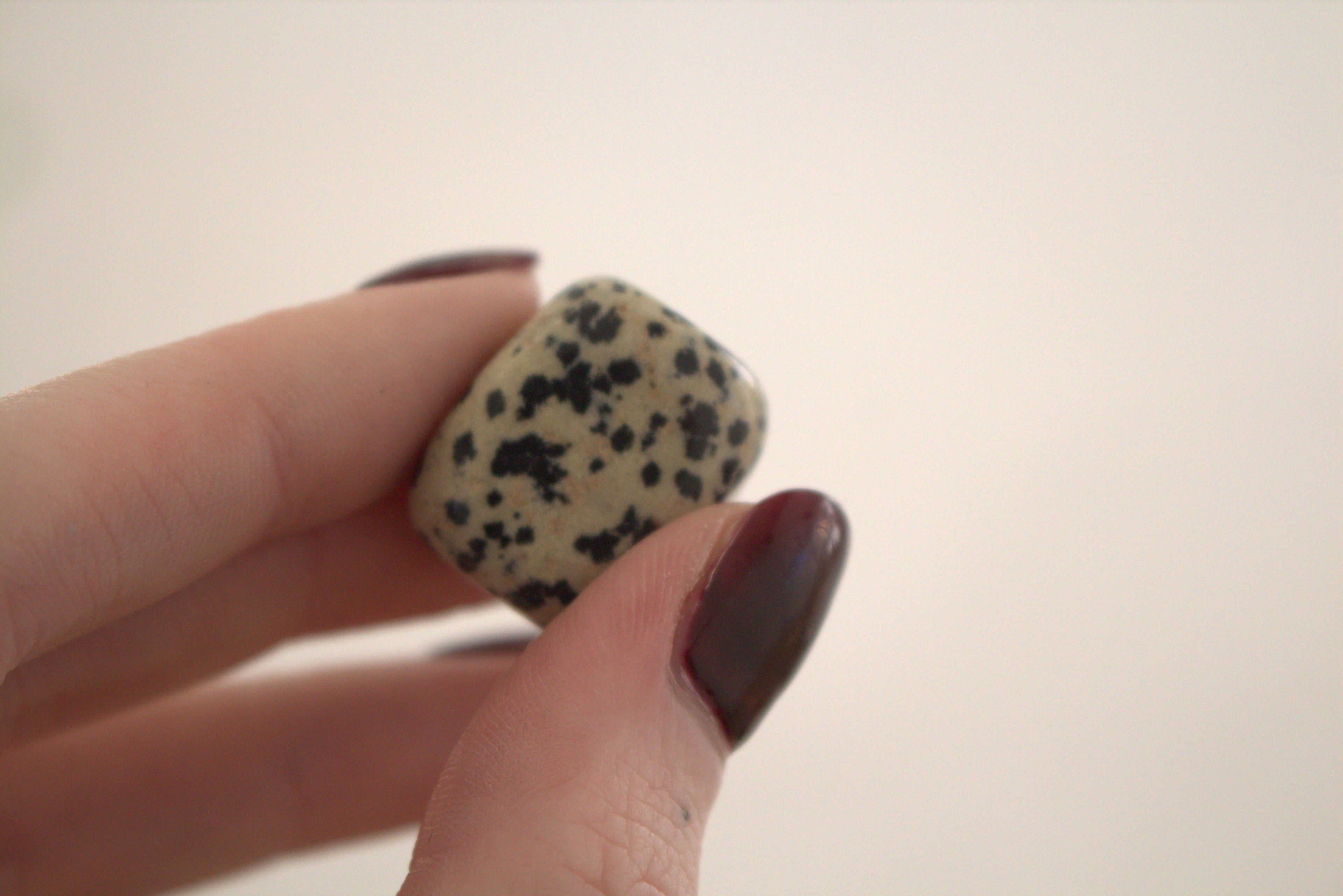 Dalmation Jasper Tumblestone