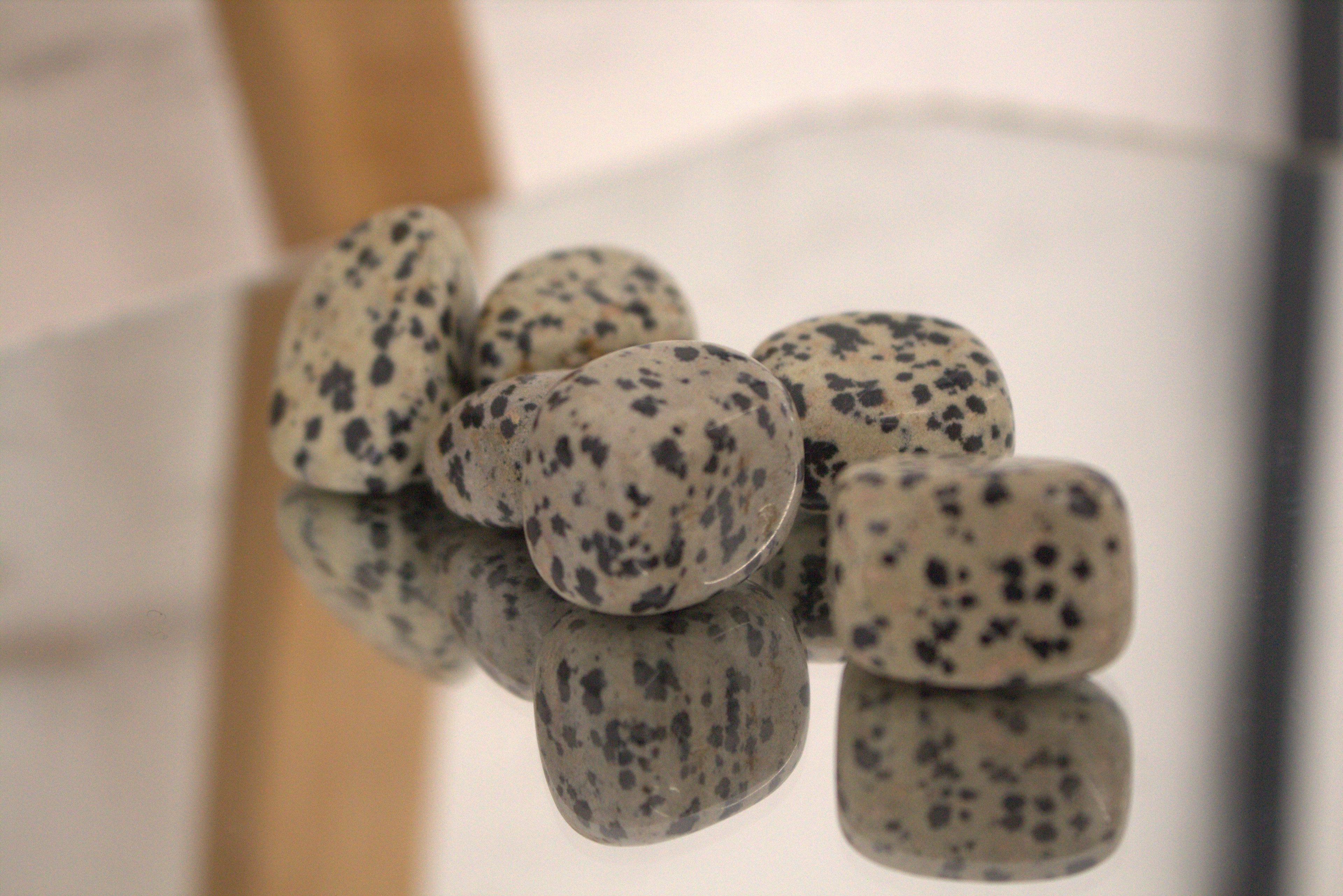 Dalmation Jasper Tumblestone